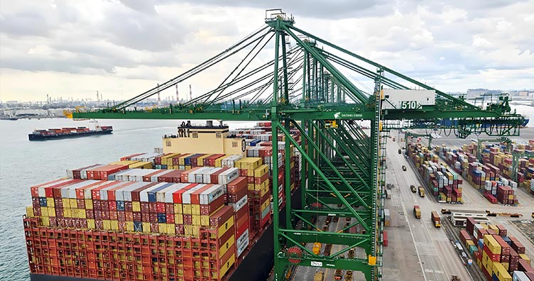 quayside container sts crane