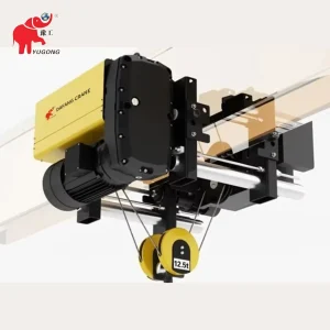 FEM Standard electric hoist