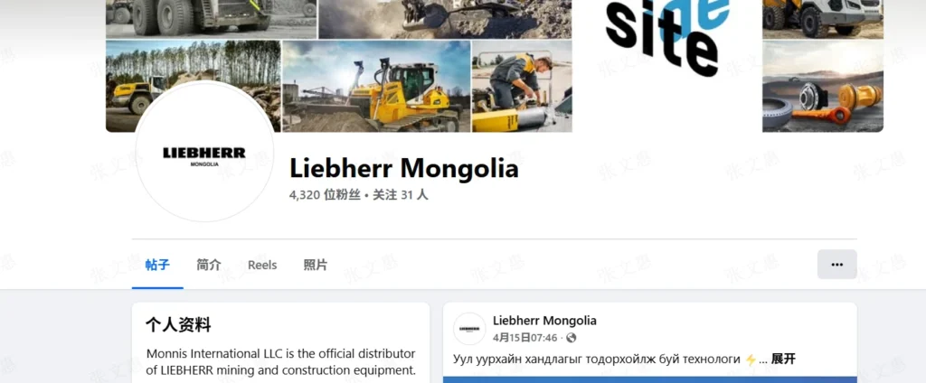 crane suppliers in mongolia